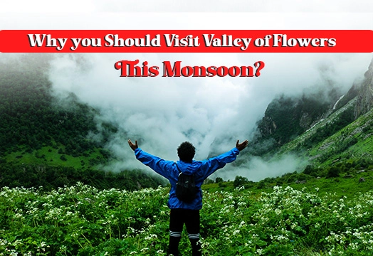 Why you Should Visit Valley of Flowers This Monsoon?